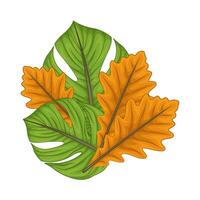 Illustration of leaf vector