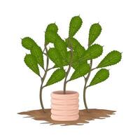 Illustration of plant vector