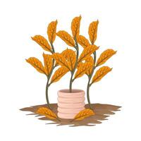 Illustration of plant vector