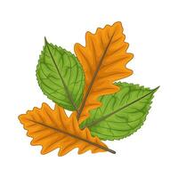Illustration of leaf vector
