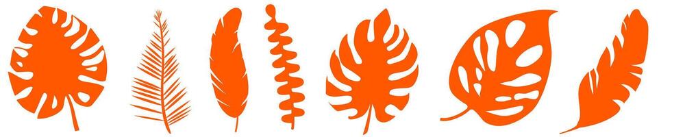 Set of illustration of tropical orange fern leaves vector