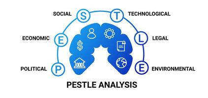 Pestle analysis diagram. Economic marketing with management organization and political market vector