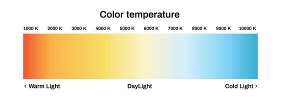 Light color temperature scale. Led diagram with warm and daylight vector