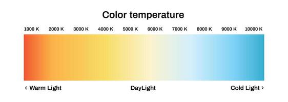 Light color temperature scale. Led diagram with warm and daylight vector