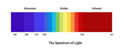 espectro ligero color escala. ultravioleta LED diagrama con visible y luz halógeno vector