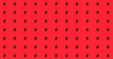 summer background Seamless pattern with watermelon seeds on a bright color background vector