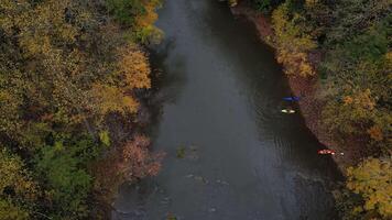 Drone View of Fall Colors video