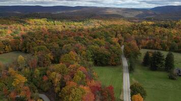 Drone View of Fall Colors video