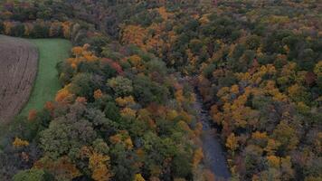 Drone View of Fall Colors video