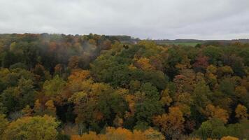 Drone View of Fall Colors video