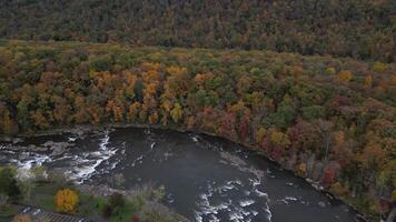Drone View of Fall Colors video