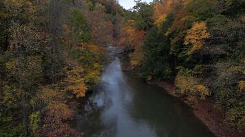 Drone View of Fall Colors video