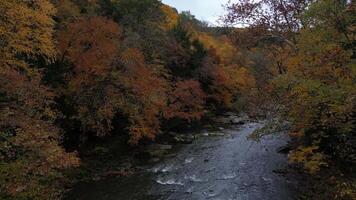 Drone View of Fall Colors video