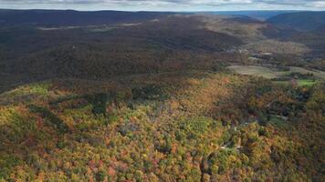 Drone View of Fall Colors video