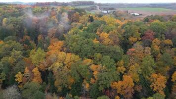 Drone View of Fall Colors video