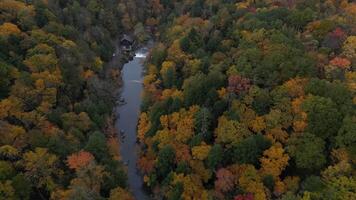 Drone View of Fall Colors video