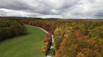 Drone View of Fall Colors video