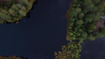 Aerial Beautiful View Of Tranquil Forest Landscape with coniferous trees and lakes. drone is approaching and circling above the ground video