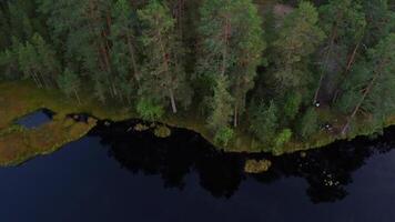 Aerial Beautiful View Of Tranquil Forest, river, travelers with tents on shore. Drone shot flying over pine coniferous trees, pond. summer nature landscape video