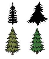 four different types of trees, including pine, fir and spruce vector