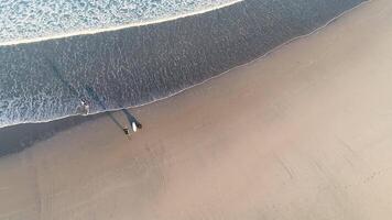 parte superior ver de Tres surfistas con su tablas de surf acecho el mar desde el apuntalar de el playa. concepto de verano agua Deportes video