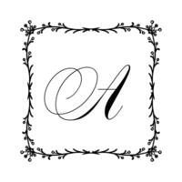 Beautiful Vintage Monogram Frame. Ornate Calligraphic Design Element. illustration vector