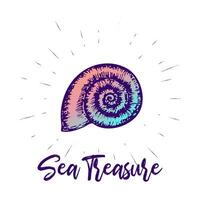 Seashell and lettering design. Sea creature summer hand drawn print vector