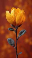 Golden Bloom - A Radiant Flower Amidst Autumn Hues photo