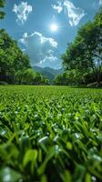 Sun's Embrace. A Lush Green Meadow Under the Radiant Sky photo
