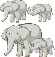 Gray Elephant Isolated picture vector