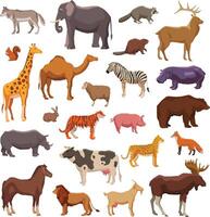 diferente tipo de animales vector