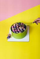 Close-up of mousse cake decorated with chocolate tulip, close up, yellow and pink background photo