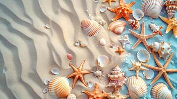 Wonderful background with colorful seashells on sand. Top view summer tropical poster design. illustration. photo