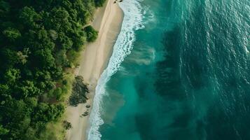 Amazing aerial view of emerald green sea, small white sand beach with green forest peaceful and white foamy waves crashing on the shore on a sunny day. photo