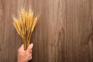 Spikelets of wheat on old wooden table background photo