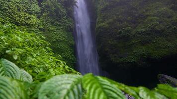 close-up waterfall in the jungle Slow motion video