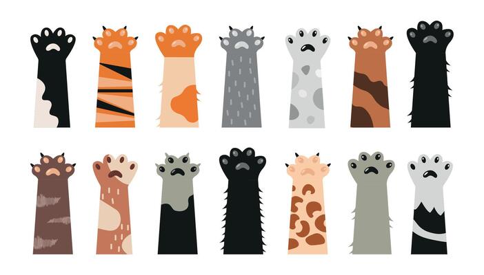 Cat Arm Vector Art, Icons, and Graphics for Free Download