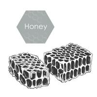 Hand drawn honeycomb structure. Honey, pollen, Propolis, wax and bee products in sketch style. Monochrome black and white illustration isolated on background. vector