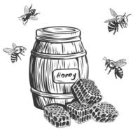 Honey set collection. hand drawn bees and honeycomb and wooden barrel. Vintage engraving isolated on background. Woodcut, etching imitation style. vector