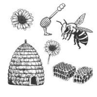 Honey Object sketch set. hand drawn bee, clover flower, honeycomb, wooden dipper and beehive. vintage engraved illustration isolated on white background vector