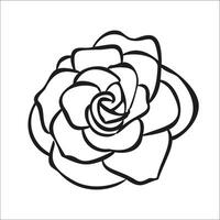 Rosa flor mano dibujado ilustracion para logo vector