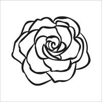 Rosa flor mano dibujado ilustracion para logo vector