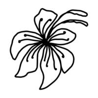 Flower one line art, minimalist contour hand drawing vector