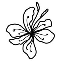 Flower one line art, minimalist contour hand drawing vector