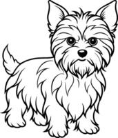 Hand-drawing dog line art, yorkshire terrier breed vector
