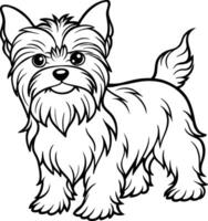 Dibujo a mano perro línea arte, Yorkshire terrier raza vector