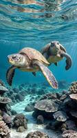 Vibrant underwater scene with two sea turtles near a coral reef, perfect for environmental and travel themes. underwater ecosystems, eco-tourism, summer holiday concept photo