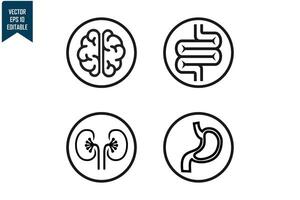 Human organs set design vector