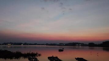 Scenic view of birds flying over the surface of the water to hunt for food at dawn video