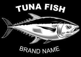 Tuna drawing illustration image. Seafood fresh. Fishing vector